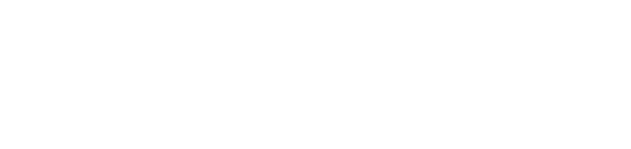 Partner 20